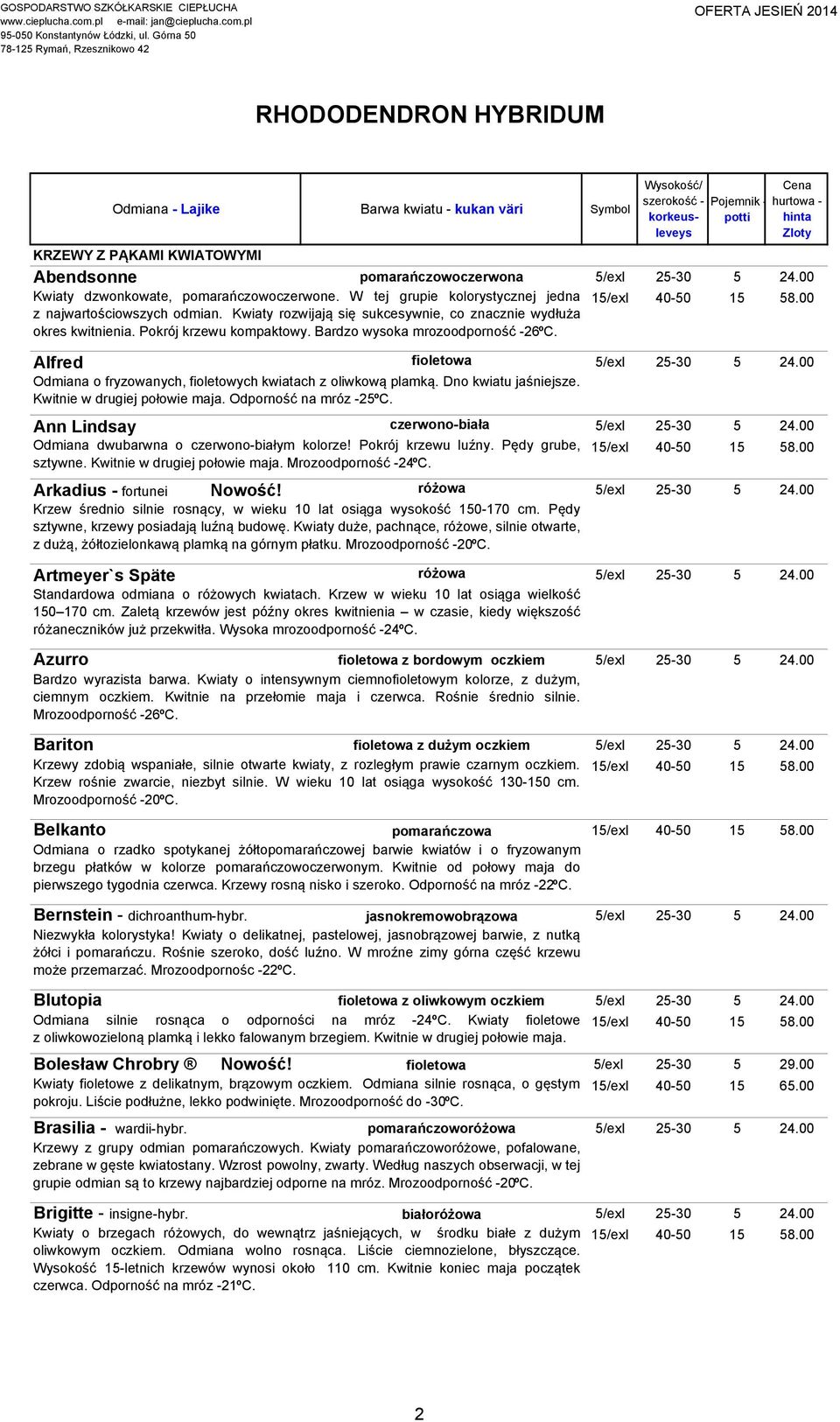 Pokrój krzewu kompaktowy. Bardzo wysoka mrozoodporność -26ºC. Alfred fioletowa 5/exI 25-30 5 24.00 Odmiana o fryzowanych, fioletowych kwiatach z oliwkową plamką. Dno kwiatu jaśniejsze.