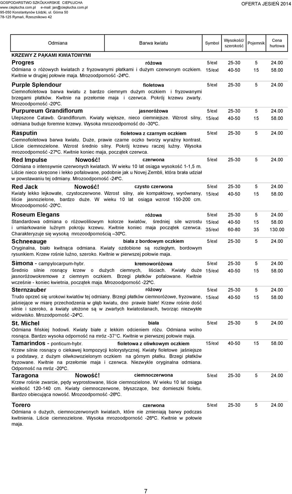 Kwitnie na przełomie maja i czerwca. Pokrój krzewu zwarty. Mrozoodporność -20ºC. Purpureum Grandiflorum jasnoróżowa 5/exI 25-30 5 24.00 Ulepszone Catawb. Grandiflorum. Kwiaty większe, nieco ciemniejsze.