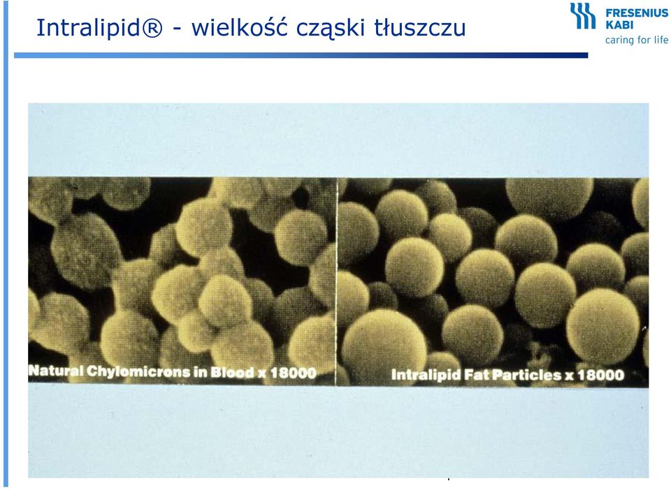 2 % 1-2 micron 99.