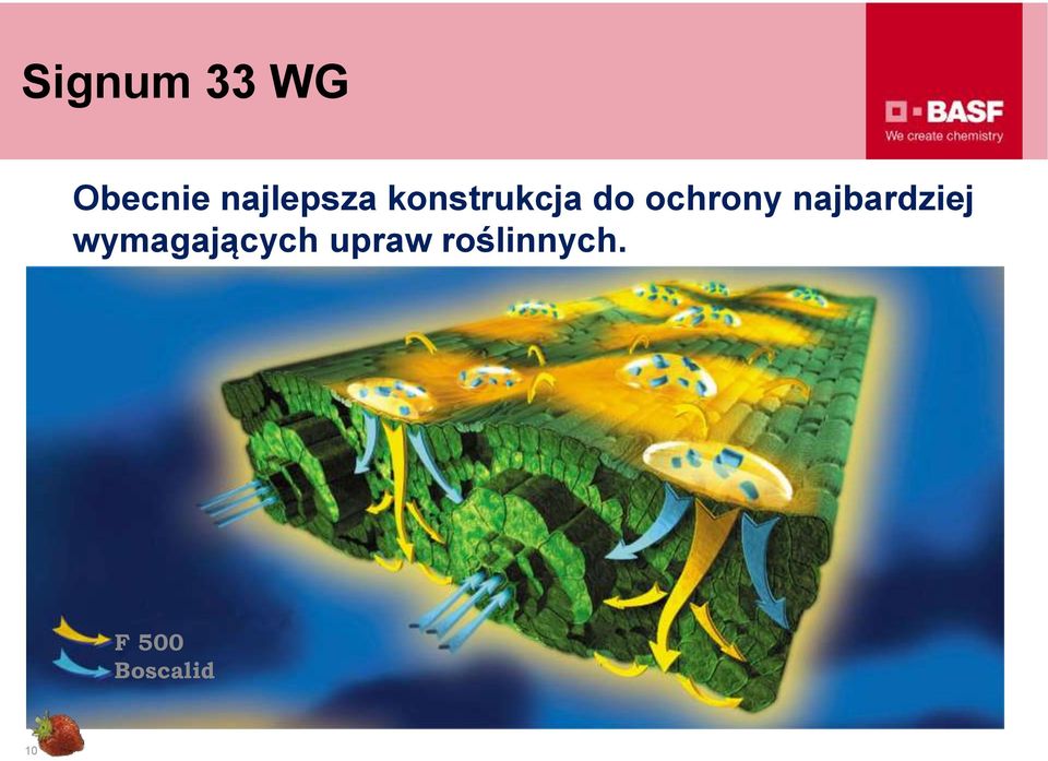 ochrony najbardziej