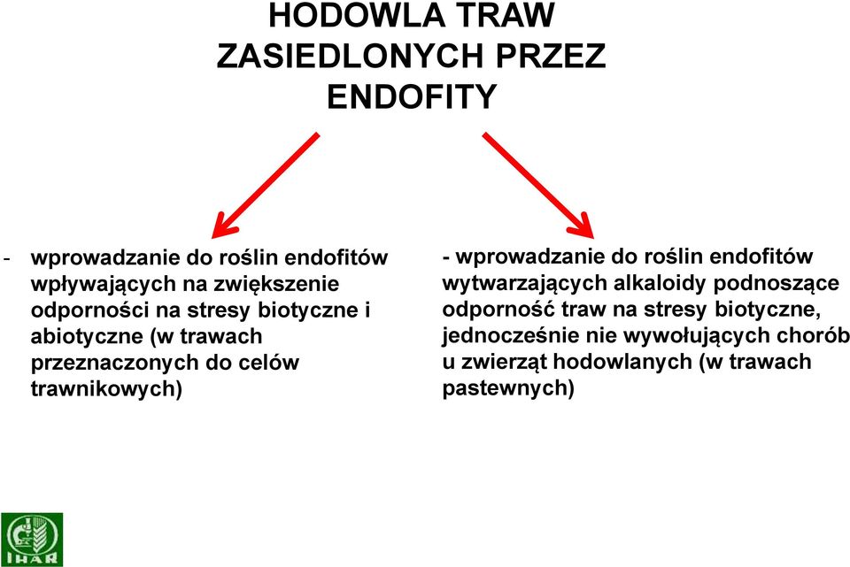 trawnikowych) - wprowadzanie do roślin endofitów wytwarzających alkaloidy podnoszące odporność