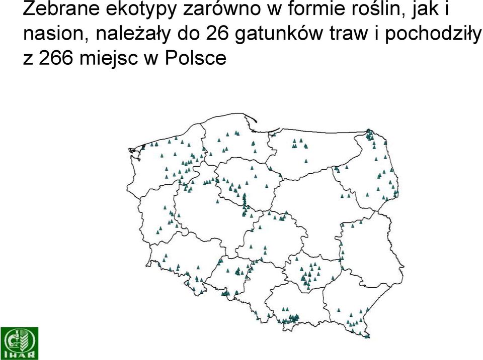 należały do 26 gatunków traw