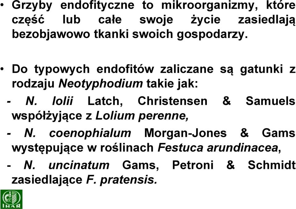 lolii Latch, Christensen & Samuels współżyjące z Lolium perenne, - N coenophialum Morgan-Jones & Gams