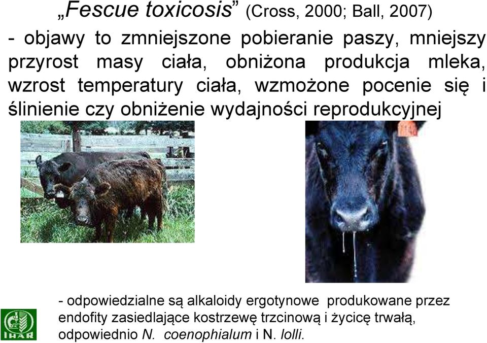 ślinienie czy obniżenie wydajności reprodukcyjnej - odpowiedzialne są alkaloidy ergotynowe