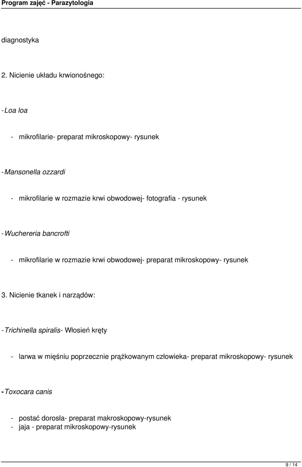 krwi obwodowej- fotografia - rysunek -Wuchereria bancrofti - mikrofilarie w rozmazie krwi obwodowej- preparat mikroskopowy- rysunek 3.