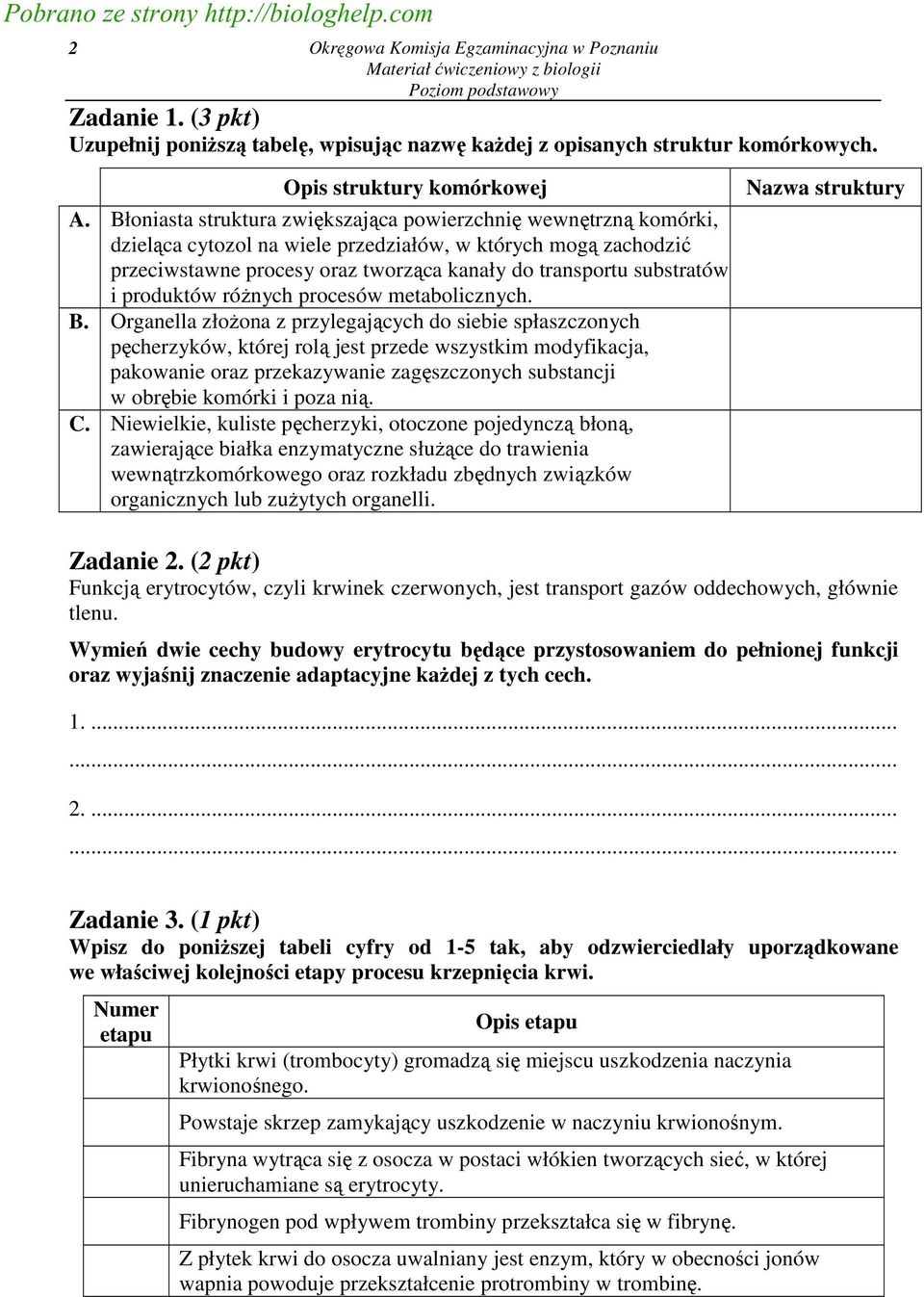 Błoniasta struktura zwiększająca powierzchnię wewnętrzną komórki, dzieląca cytozol na wiele przedziałów, w których mogą zachodzić przeciwstawne procesy oraz tworząca kanały do transportu substratów i