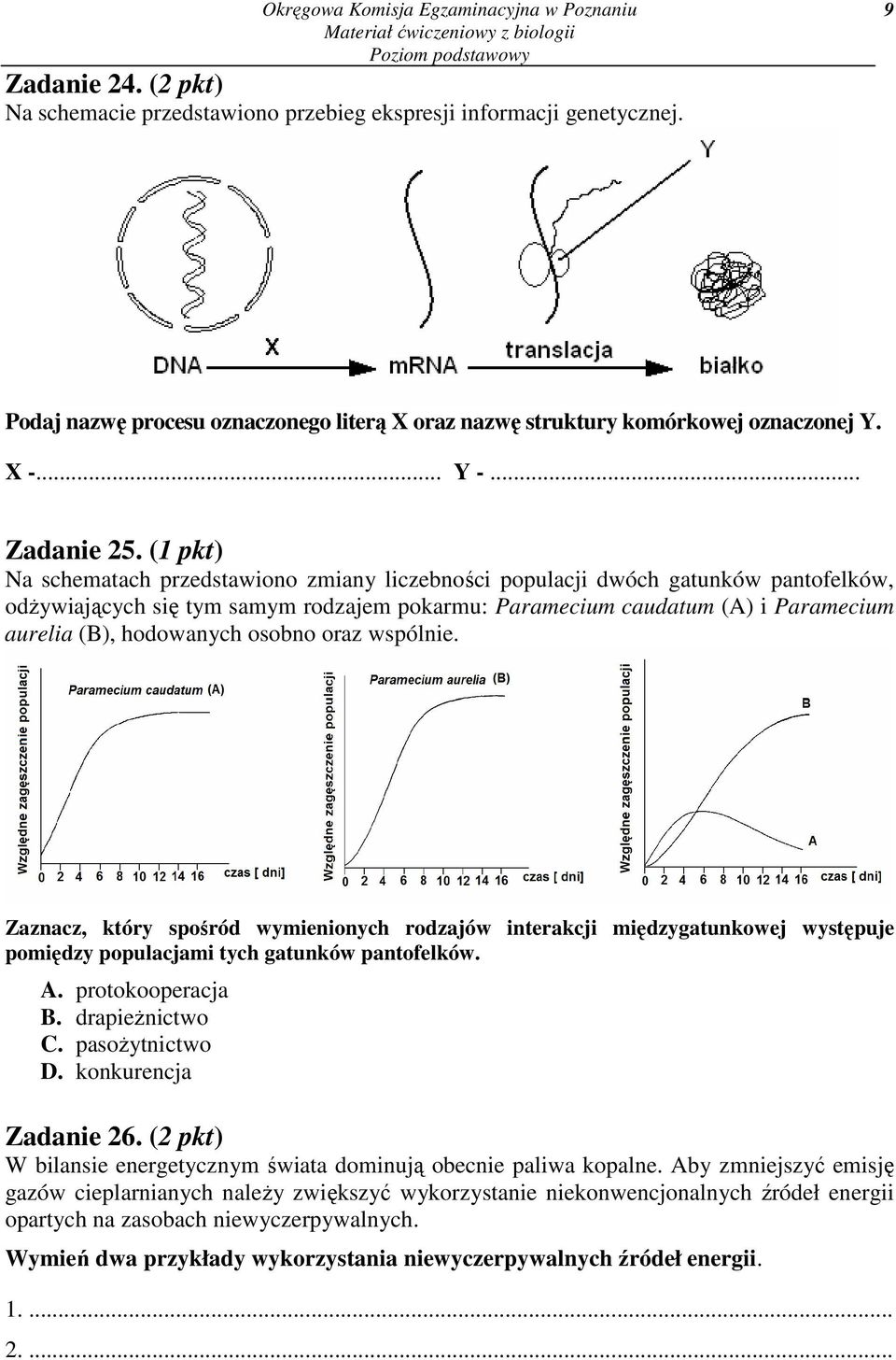(1 pkt) Na schematach przedstawiono zmiany liczebności populacji dwóch gatunków pantofelków, odŝywiających się tym samym rodzajem pokarmu: Paramecium caudatum (A) i Paramecium aurelia (B), hodowanych