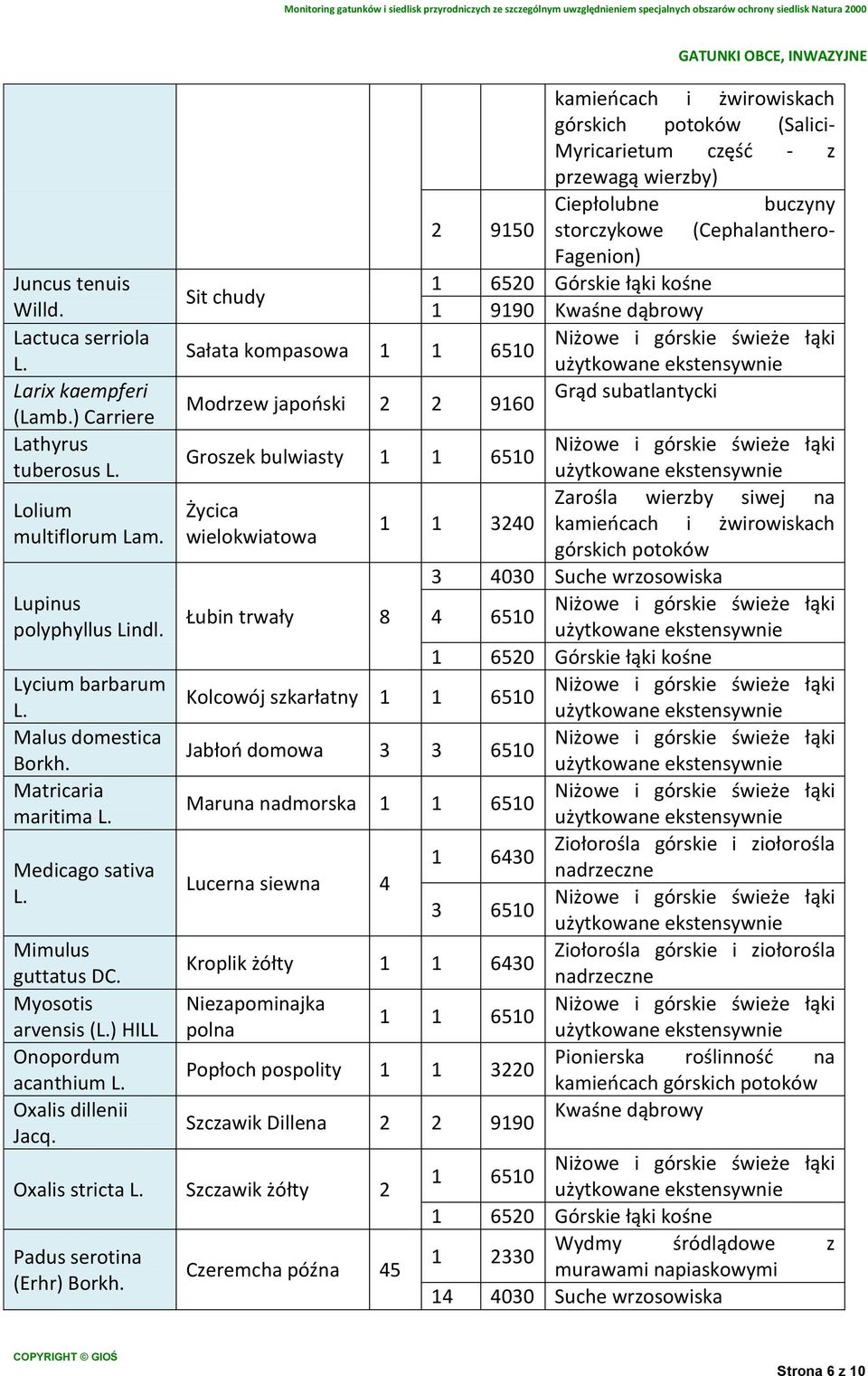 kamieńcach i żwirowiskach (Salici- Myricarietum część - z przewagą wierzby) Ciepłolubne buczyny 2 9150 storczykowe (Cephalanthero- Fagenion) Sit chudy 1 6520 Górskie kośne 1 9190 Kwaśne dąbrowy