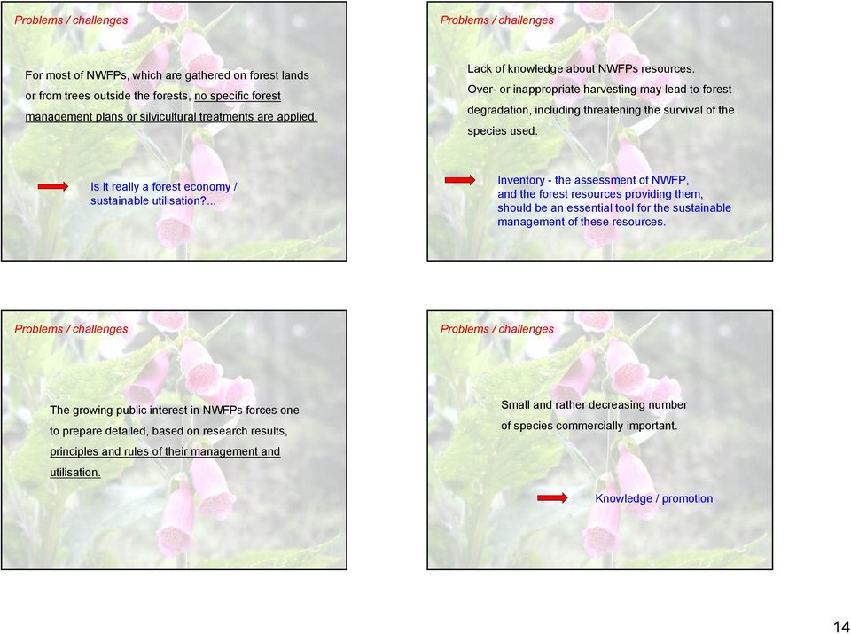 Is it really a forest economy / sustainable utilisation?