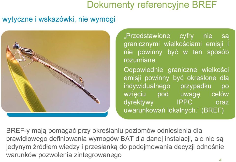 Odpowiednie graniczne wielkości emisji powinny być określone dla indywidualnego przypadku po wzięciu pod uwagę celów dyrektywy IPPC oraz