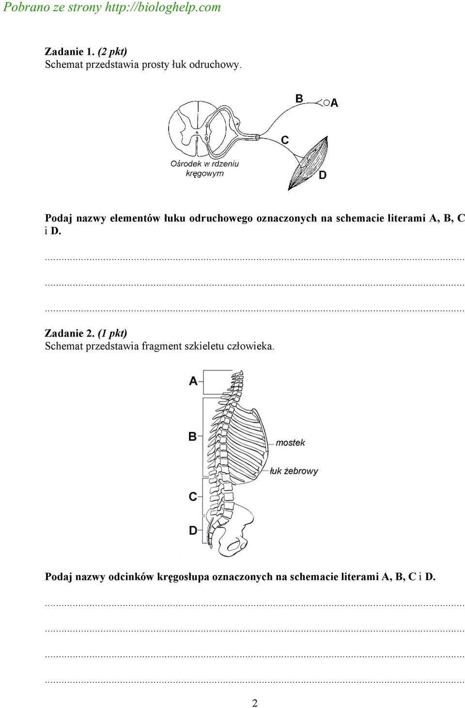 Próbny Egzamin Maturalny Z Biologii Pdf