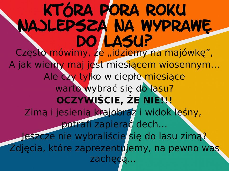 tylko w ciepłe miesiące warto wybrać się do lasu? OCZYWIŚCIE, ŻE NIE!