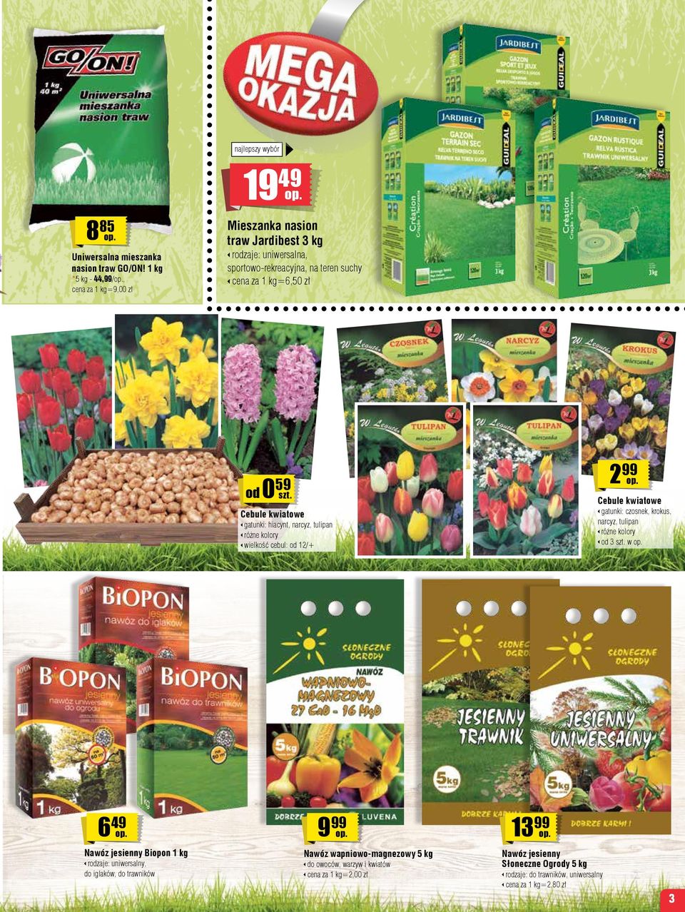 od 0 299 59 Cebule kwiatowe gatunki: czosnek, krokus, narcyz, tulipan od 3 w Cebule kwiatowe gatunki: hiacynt, narcyz, tulipan wielkość cebul: od 12/+ 649