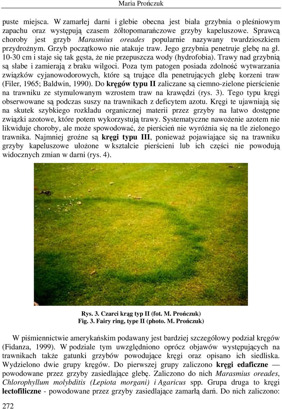 10-30 cm i staje się tak gęsta, że nie przepuszcza wody (hydrofobia). Trawy nad grzybnią są słabe i zamierają z braku wilgoci.