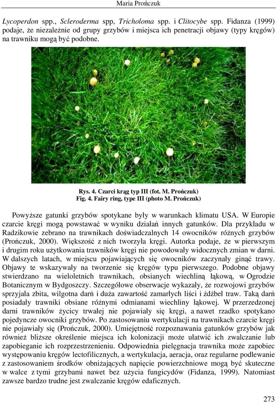 W Europie czarcie kręgi mogą powstawać w wyniku działań innych gatunków. Dla przykładu w Radzikowie zebrano na trawnikach doświadczalnych 14 owocników różnych grzybów (Prończuk, 2000).