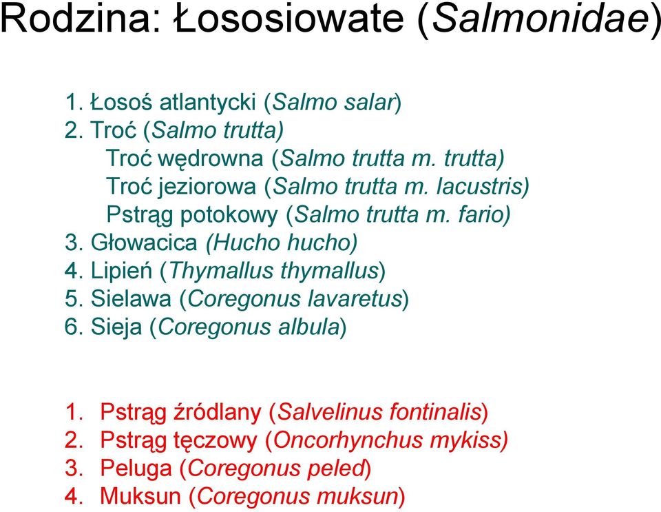 lacustris) Pstrąg potokowy (Salmo trutta m. fario) 3. Głowacica (Hucho hucho) 4. Lipień (Thymallus thymallus) 5.