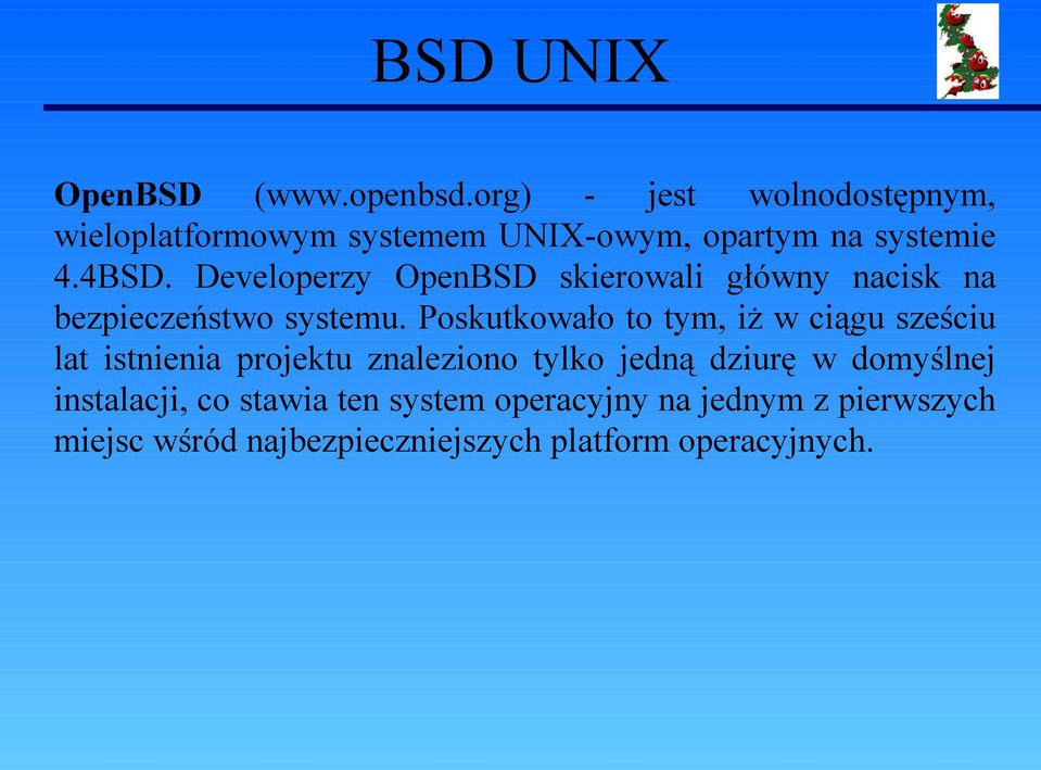 Developerzy OpenBSD skierowali główny nacisk na bezpieczeństwo systemu.