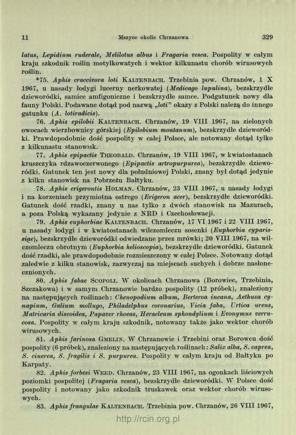 Chrzanów, 1 X 1967, u nasady łodygi lucerny nerkow atej (Medicago lupulina), bez skrzydle dzieworódki, samice amfigoniczne i bezskrzydłe samce. Podgatunek nowy dla fauny Polski.