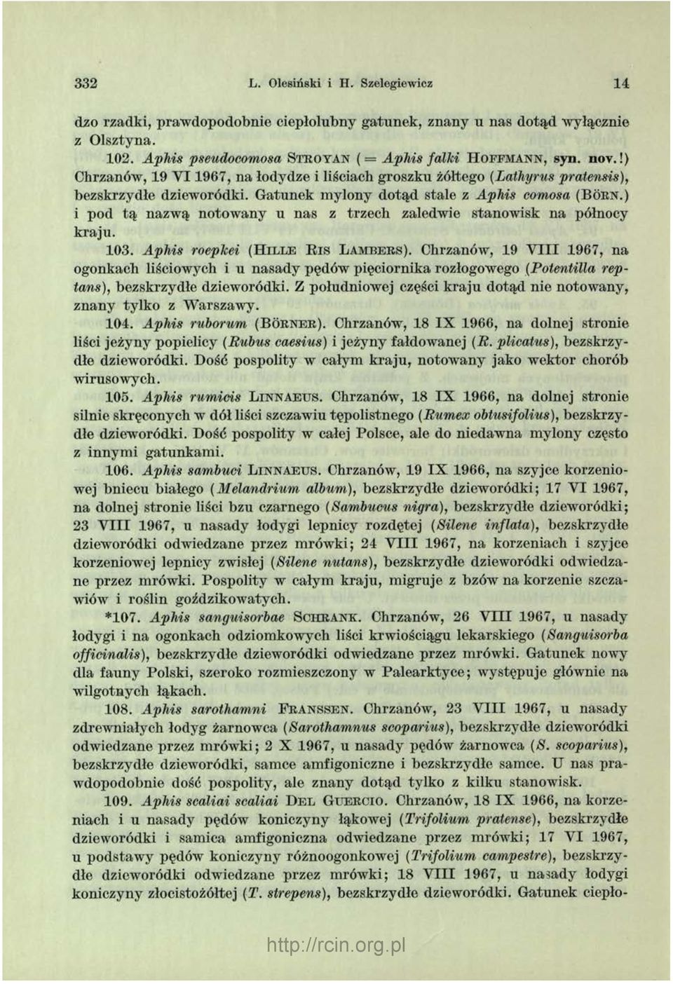 G atunek m ylony d otąd stale z Aphis comosa (B o r n.) i pod tą nazwą notow any u nas z trzech zaledwie stanow isk na północy kraju. 103. Aphis roepkei (H il l e B i s L a m b e r s ).