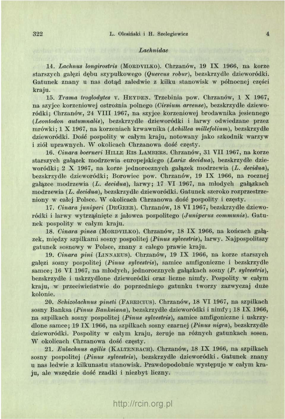 Chrzanów, 1 X 1967, na szyjce korzeniowej ostrożnia polnego (Cirsium arvense), bezskrzydłe dzieworódki; Chrzanów, 24 V III 1967, na szyjce korzeniowej brodaw nika jesiennego (Leontodon autumnalis),