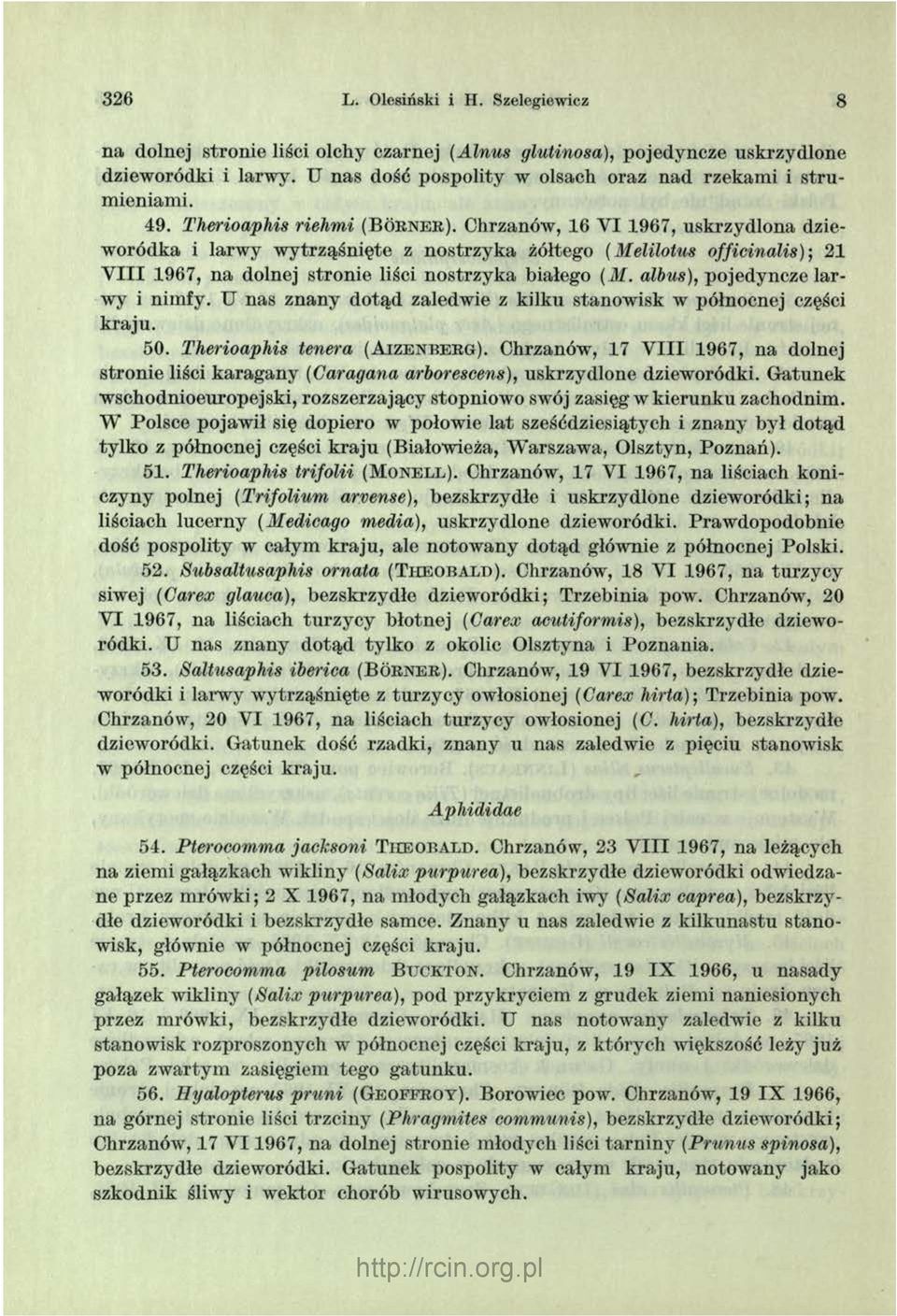 Chrzanów, 16 V I 1967, uskrzydlona dzieworódka i larw y w ytrząśnięte z nostrzyka żółtego (Melilotus officinalis)-, 21 V I I I 1967, n a dolnej stronie liści no strzy k a białego (M.
