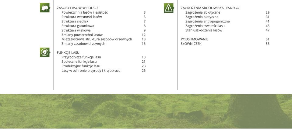 abiotyczne 29 Zagrożenia biotyczne 31 Zagrożenia antropogeniczne 41 Zagrożenia trwałości lasu 45 Stan uszkodzenia lasów 47 PODSUMOWANIE 51