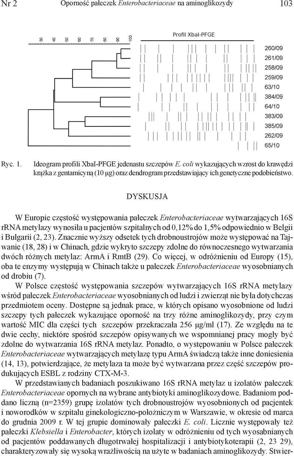 DYSKUSJA W Europie częstość występowania pałeczek Enterobacteriaceae wytwarzających 16S rrna metylazy wynosiła u pacjentów szpitalnych od 0,12% do 1,5% odpowiednio w Belgii i Bułgarii (2, 23).