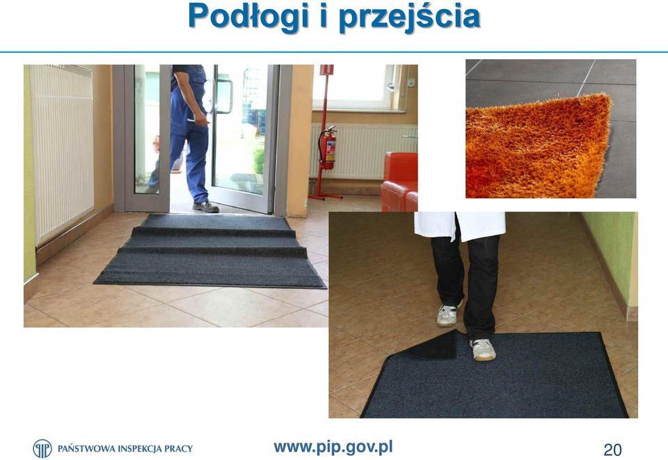 www.pip.