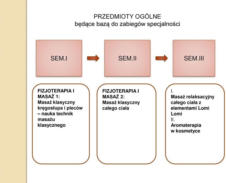 technik masażu klasycznego FIZJOTERAPIA I MASAŻ 2: Masaż klasyczny całego