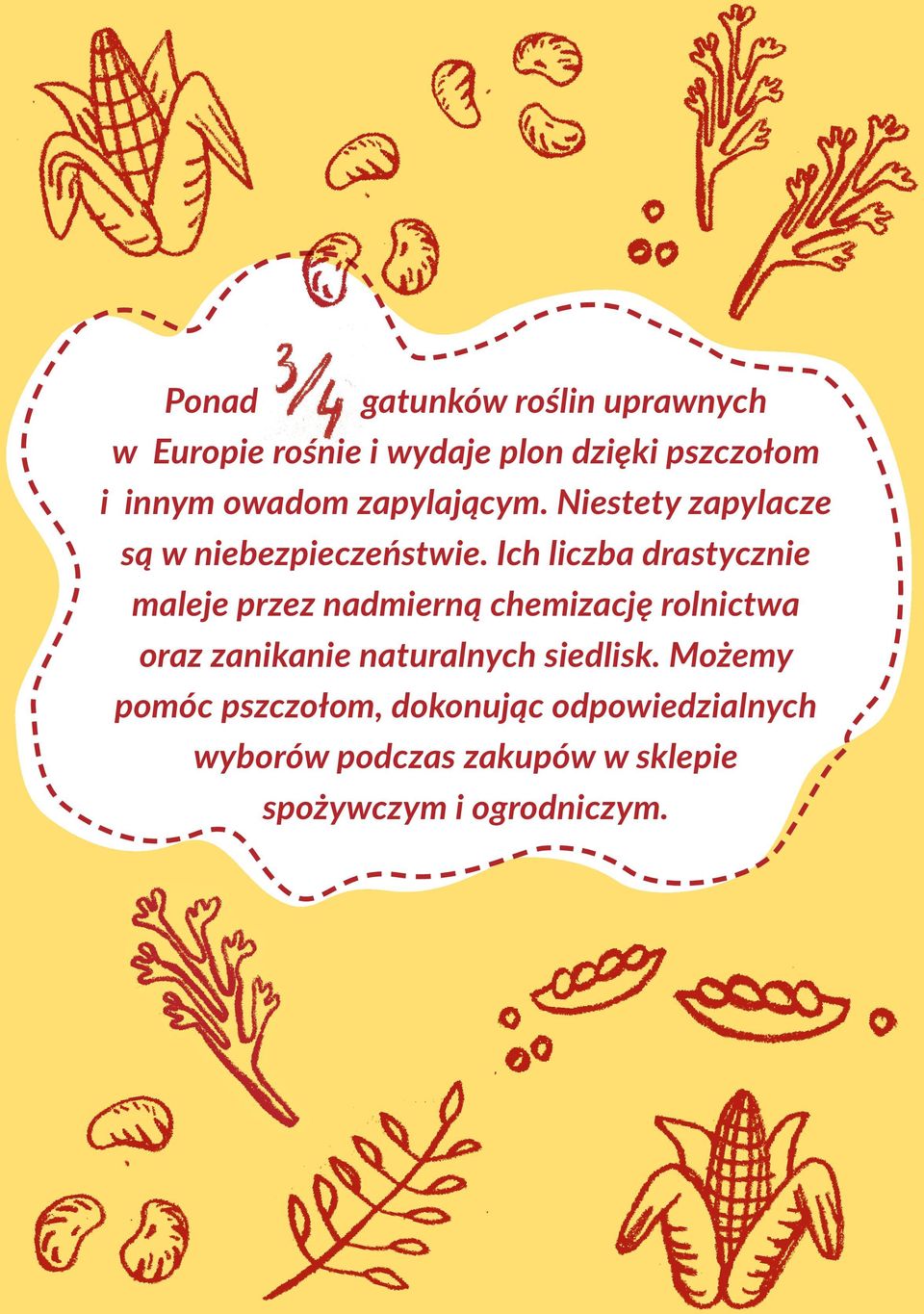 Ich liczba drastycznie maleje przez nadmierną chemizację rolnictwa oraz zanikanie