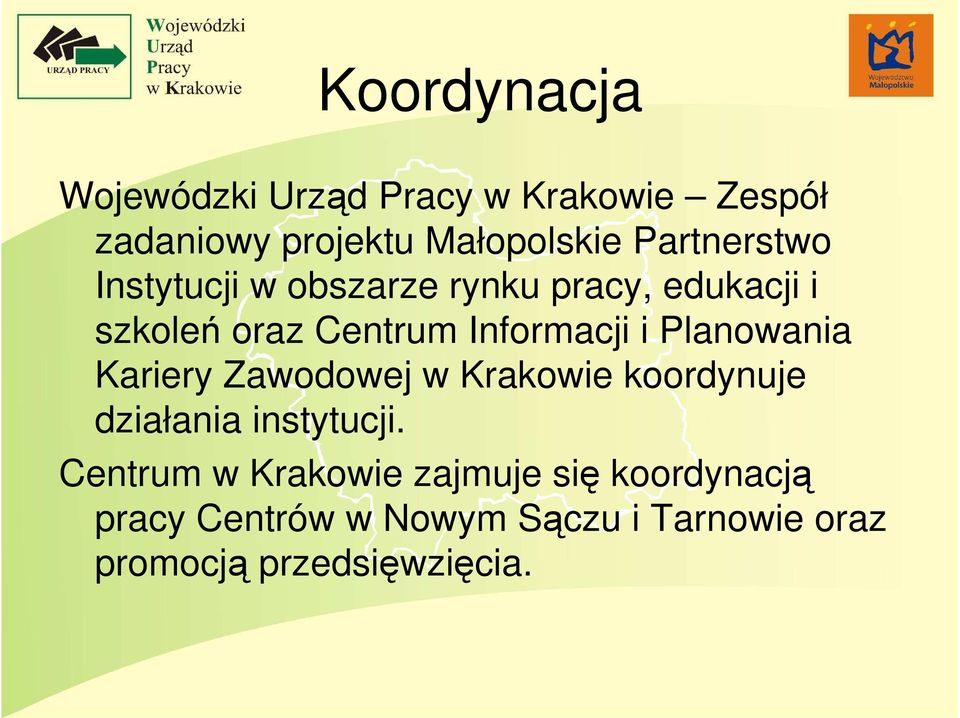 i Planowania Kariery Zawodowej w Krakowie koordynuje działania instytucji.