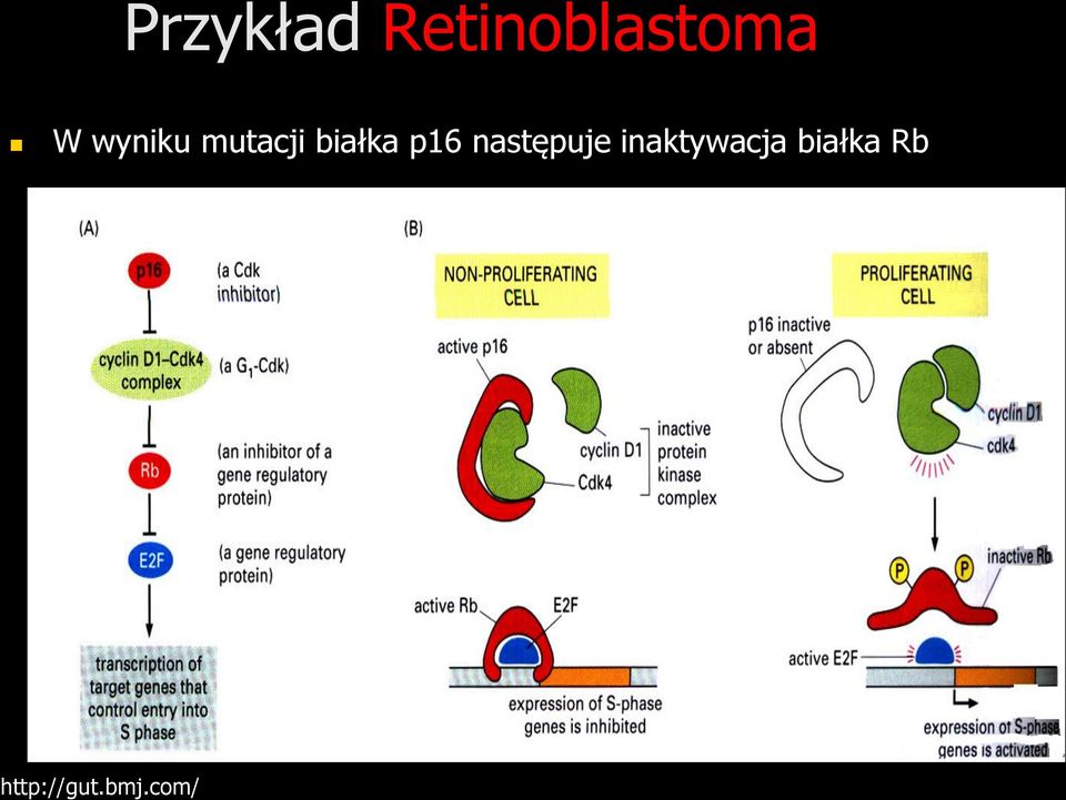 następuje inaktywacja