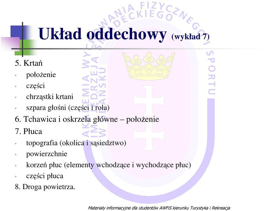 6. Tchawica i oskrzela główne połoŝenie 7.