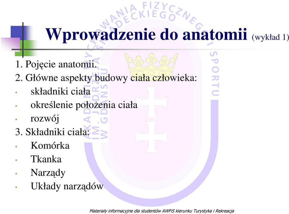 Główne aspekty budowy ciała człowieka: składniki