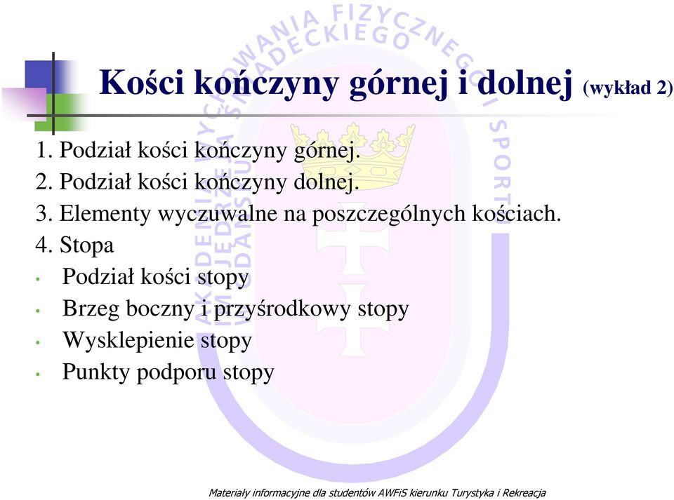 3. Elementy wyczuwalne na poszczególnych kościach. 4.