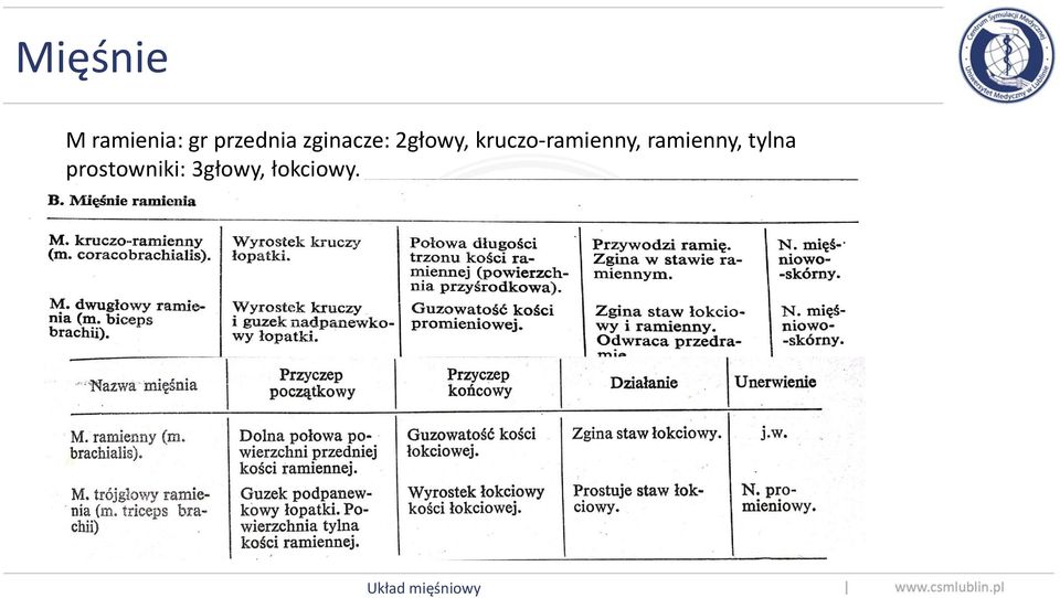 kruczo-ramienny, ramienny,