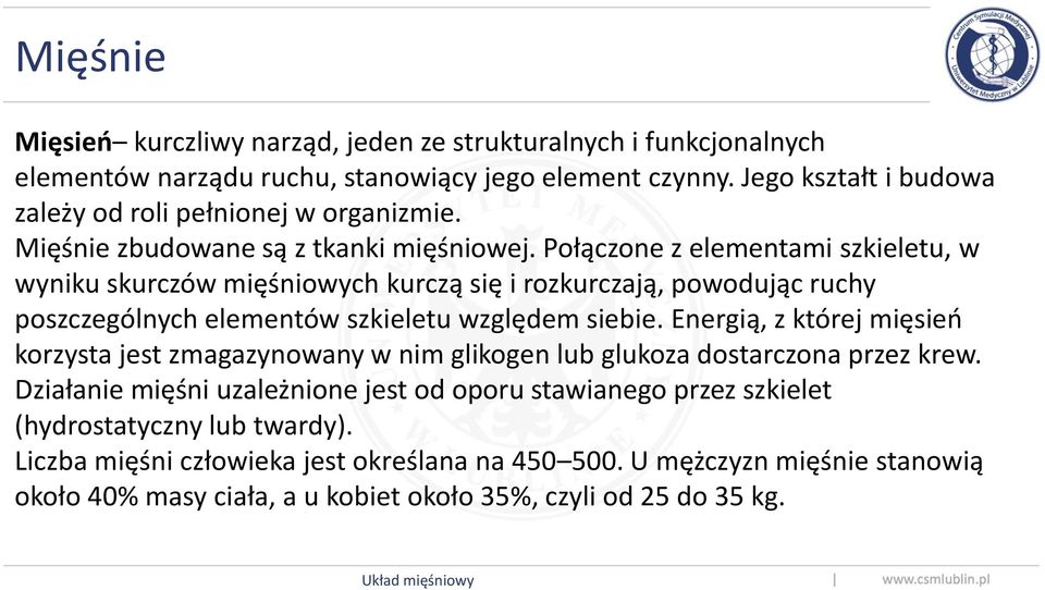 Połączone z elementami szkieletu, w wyniku skurczów mięśniowych kurczą się i rozkurczają, powodując ruchy poszczególnych elementów szkieletu względem siebie.
