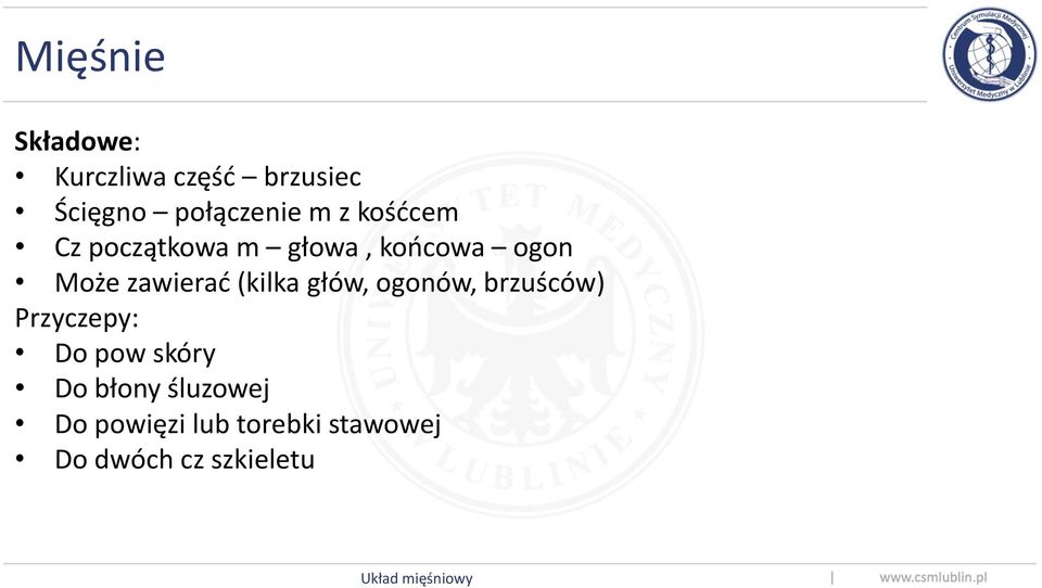 (kilka głów, ogonów, brzuśców) Przyczepy: Do pow skóry Do