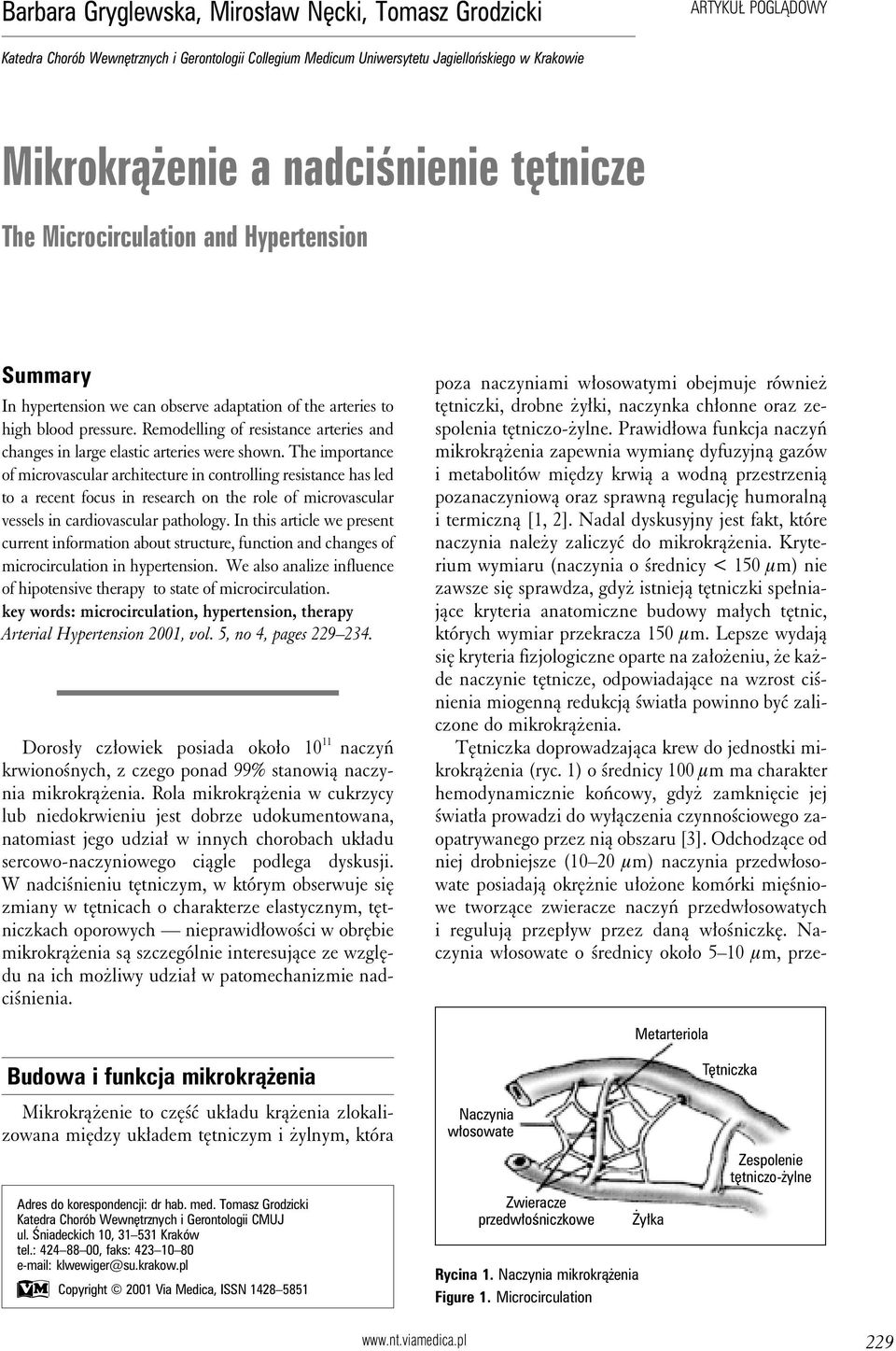 Remodelling of resistance arteries and changes in large elastic arteries were shown.