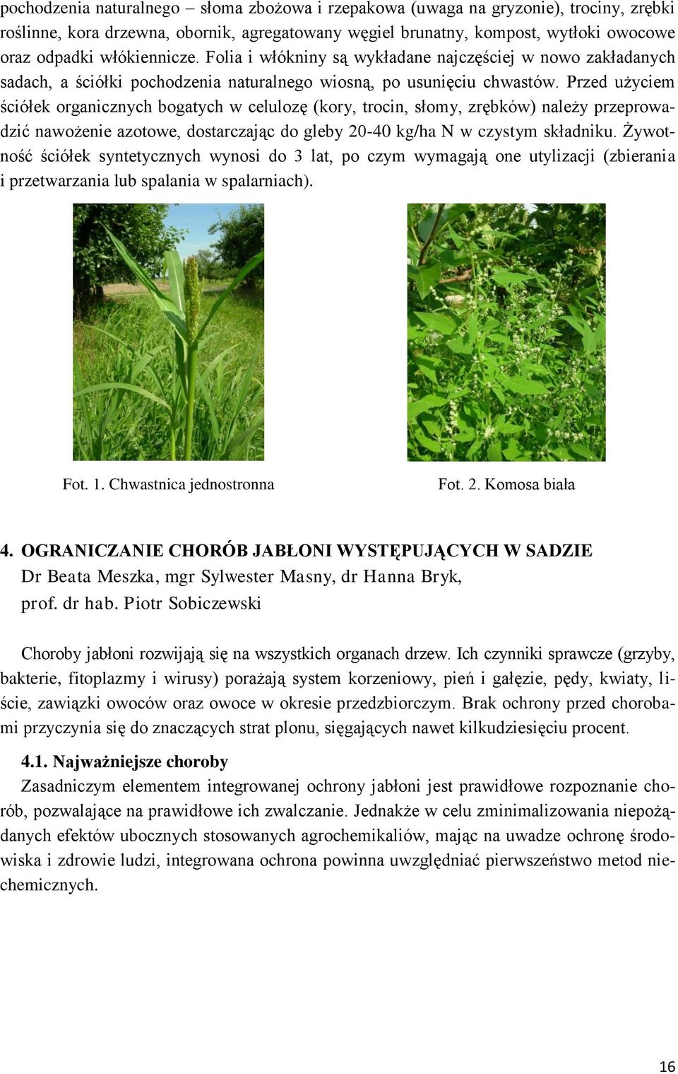 Przed użyciem ściółek organicznych bogatych w celulozę (kory, trocin, słomy, zrębków) należy przeprowadzić nawożenie azotowe, dostarczając do gleby 20-40 kg/ha N w czystym składniku.