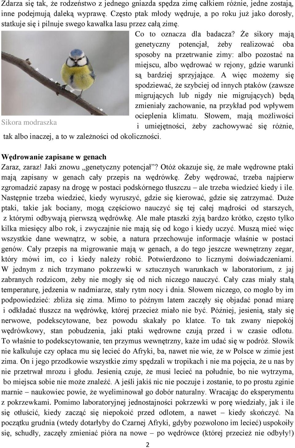 Że sikory mają genetyczny potencjał, żeby realizować oba sposoby na przetrwanie zimy: albo pozostać na miejscu, albo wędrować w rejony, gdzie warunki są bardziej sprzyjające.