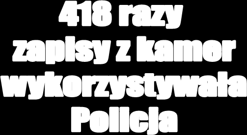 11 Porządkowych 2 Pożary 2 Psy puszczone luzem 1 Reklama 101 Spożywanie alkoholu w miejscach publicznych 7 Palenie