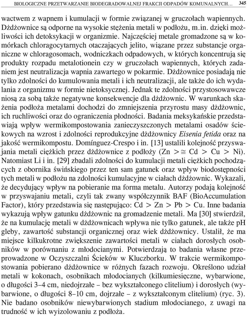 Najczęściej metale gromadzone są w komórkach chloragocytarnych otaczających jelito, wiązane przez substancje organiczne w chloragosomach, wodniczkach odpadowych, w których koncentrują się produkty