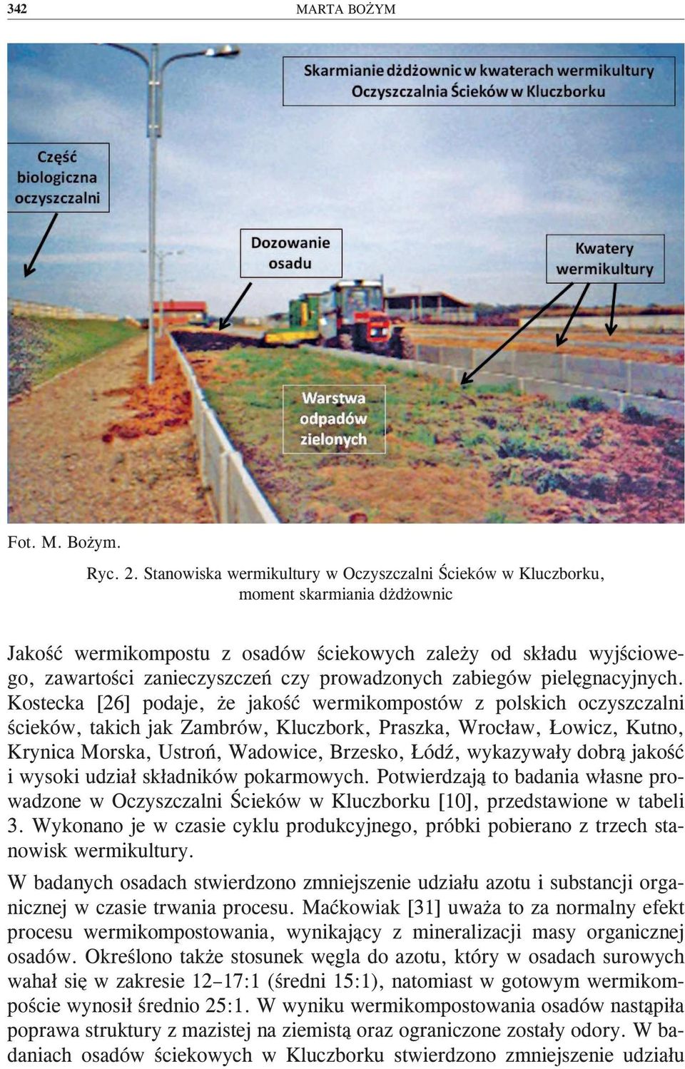 prowadzonych zabiegów pielęgnacyjnych.