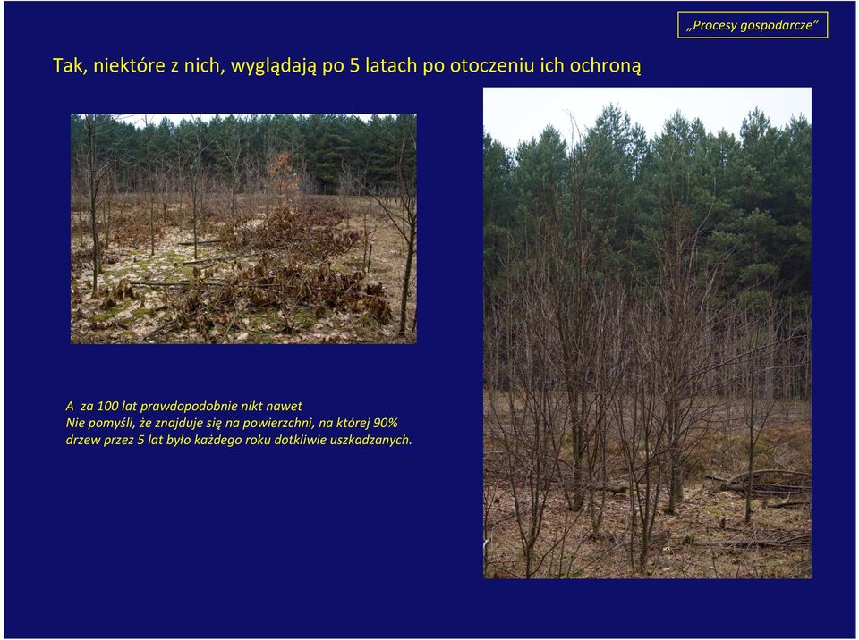 nikt nawet Nie pomyśli, że znajduje sięna powierzchni, na