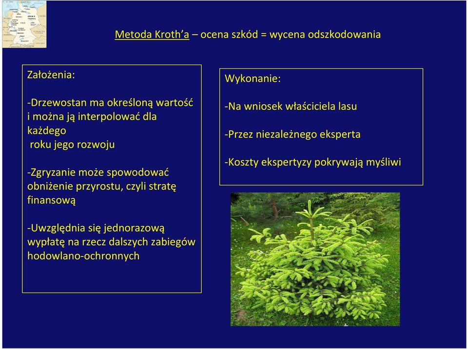 stratę finansową Wykonanie: -Na wniosek właściciela lasu -Przez niezależnego eksperta -Koszty