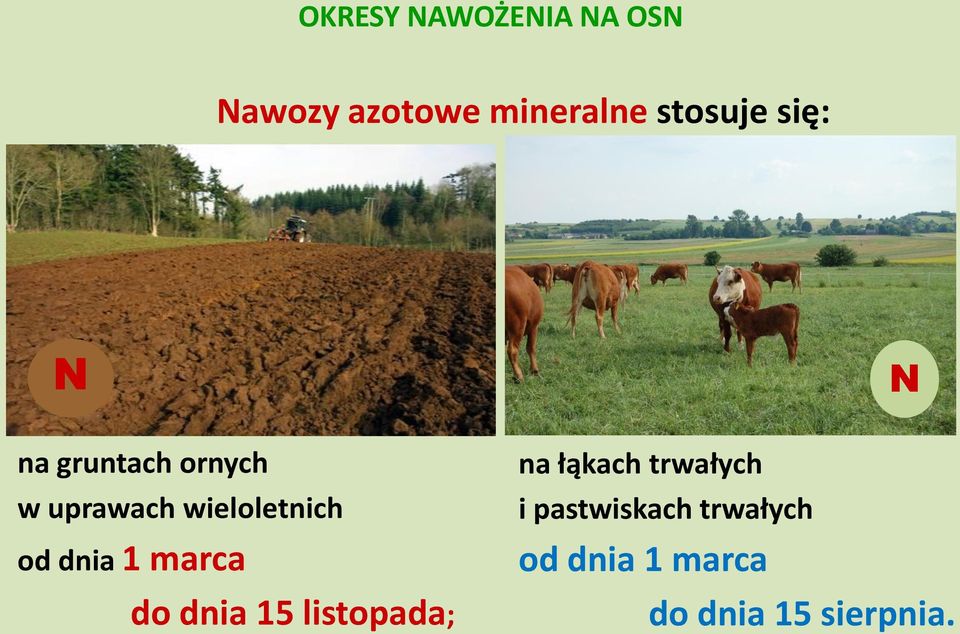 dnia 1 marca do dnia 15 listopada; na łąkach trwałych i