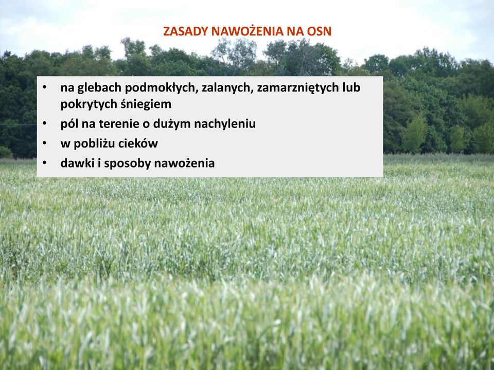 pokrytych śniegiem pól na terenie o dużym