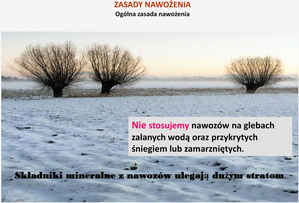 oraz przykrytych śniegiem lub zamarzniętych.