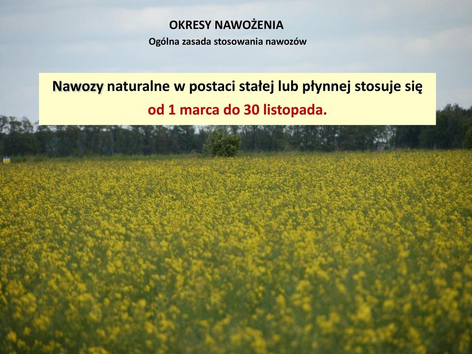 naturalne w postaci stałej lub